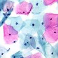 PAP stains for cytology