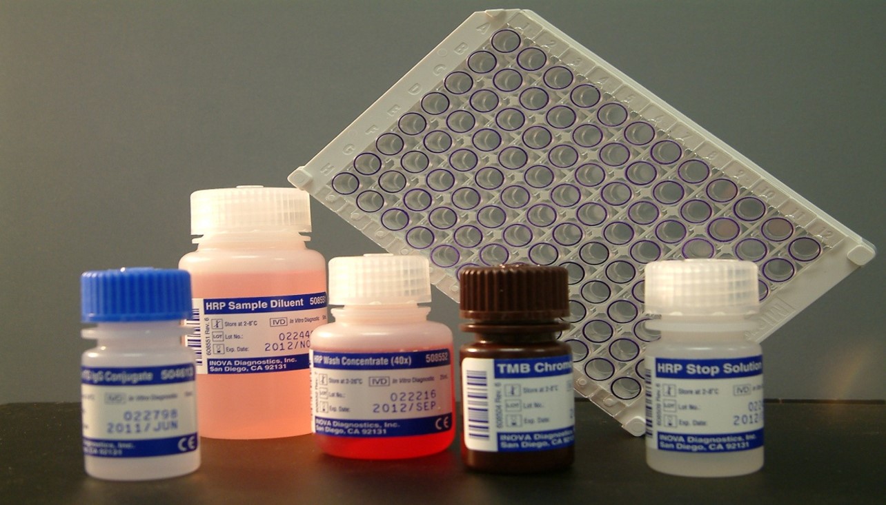 Werfen QUANTA Lite ELISA auto-immunité